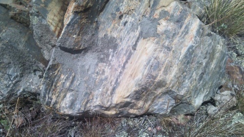 Гигантские зелёные валуны для ландшафтного дизайна весом более 5 тонн купить в Нижегородской области